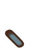 256