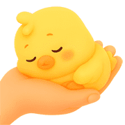 005