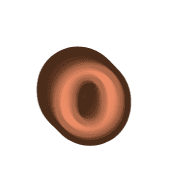 202