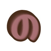 025