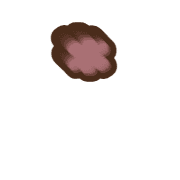 233