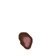 245