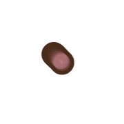 253