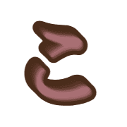 010
