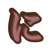 022