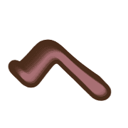 029
