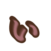 048