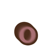 202