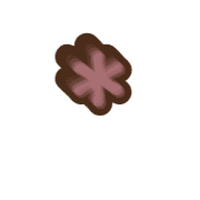 233