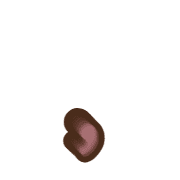 245