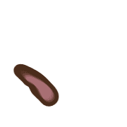 256