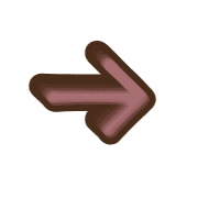 262