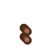 244