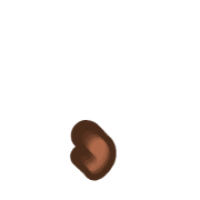 245