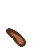 256