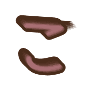 010