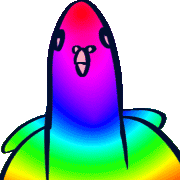 029