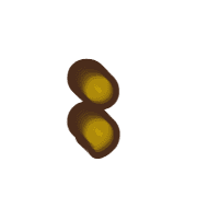 243