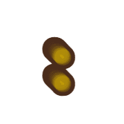 244