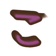 010