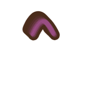 231