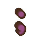 243