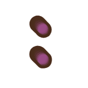244