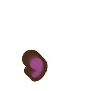 245
