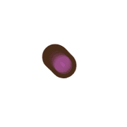 253