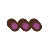 257