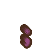 243