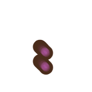 244