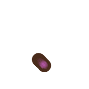 246