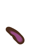 256