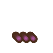 257