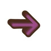 262