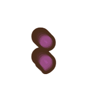 243