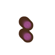 244