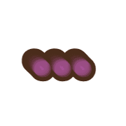 257