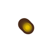 253