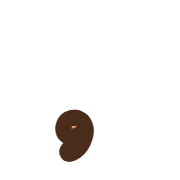 245