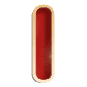 081