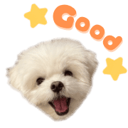 004