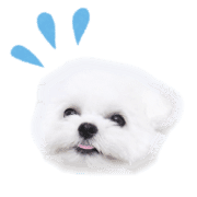 006