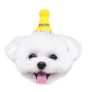 016