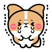 020