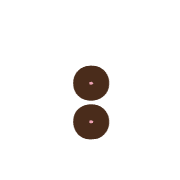 244