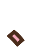 256