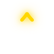 231