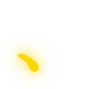 256